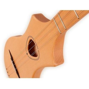 Дульцимер SEAGULL 042524 M4 Spruce EQ