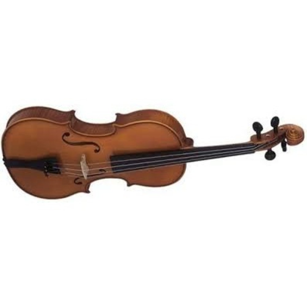 Альт студенческий Strunal 3/90-41