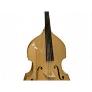 Контрабас Strunal 5/5-4/4