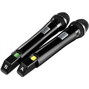 Радиосистема на два микрофона Art-System AST-922M