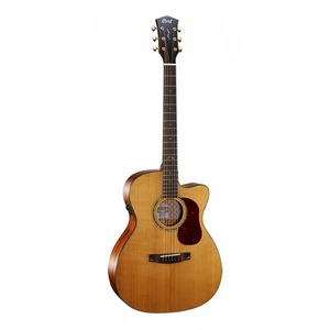 Электроакустическая гитара Cort Gold-OC6-NS