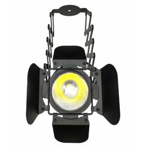 Светодиодный прожектор Estrada Pro LED PAR COB 50 LOFT