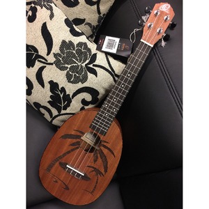 Укулеле концерт Ortega RUPA5MM