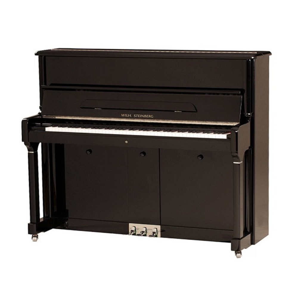 Пианино акустическое W.Steinberg 190049-1CK