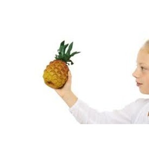 Шейкер Nino Percussion NINO595