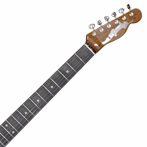 Электрогитара Fender W19 LTD ARTISAN THINLINE TELE