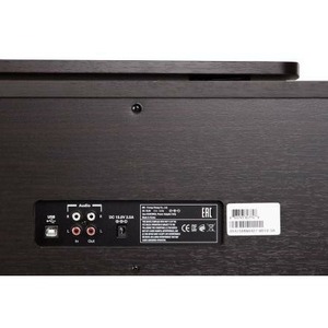 Пианино цифровое Kurzweil M210 SR