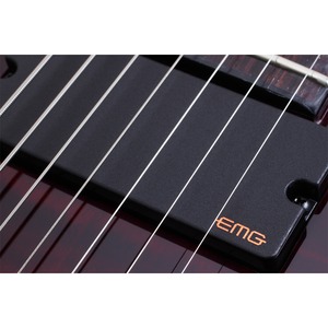 Электрогитара SCHECTER Hellraiser C-7 FR BCH