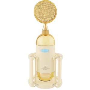 Микрофон студийный конденсаторный Alctron CX5