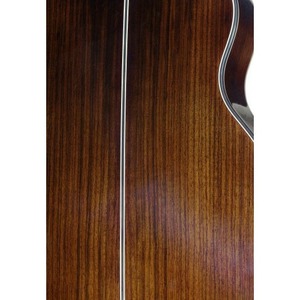 Акустическая гитара JAMES NELIGAN LYN-A MINI