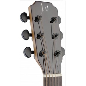 Акустическая гитара JAMES NELIGAN LYN-A MINI