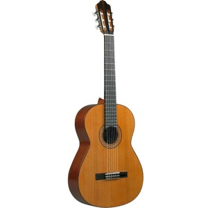 Классическая гитара ESTEVE SEGUR