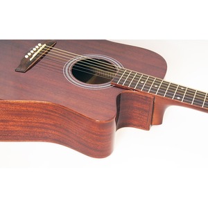 Акустическая гитара Ramis RA-G01C