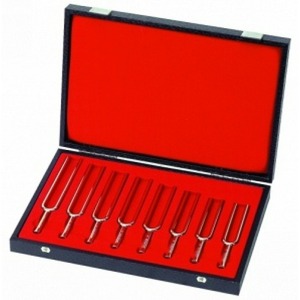 Камертон Wittner 924440-08