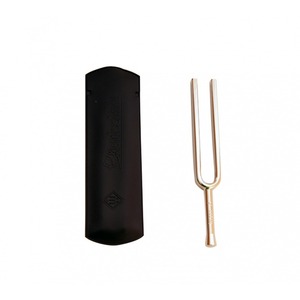 Камертон Wittner 924440IE