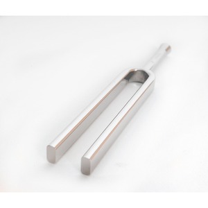 Камертон Wittner 924440IE