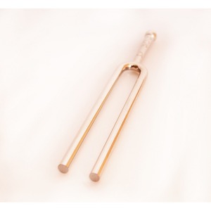 Камертон Wittner 920523IE