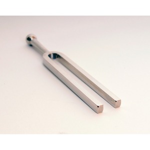 Камертон Wittner 922523IE