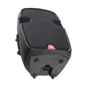 Портативная АС Leem PR-15HR