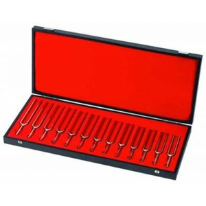 Камертон Wittner 924440-33