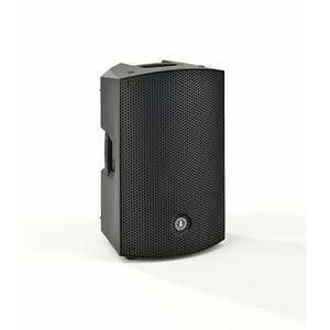 Активная акустическая система ANT MBS 12