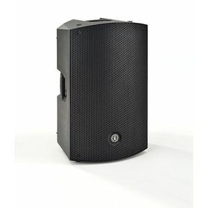 Активная акустическая система ANT MBS 15