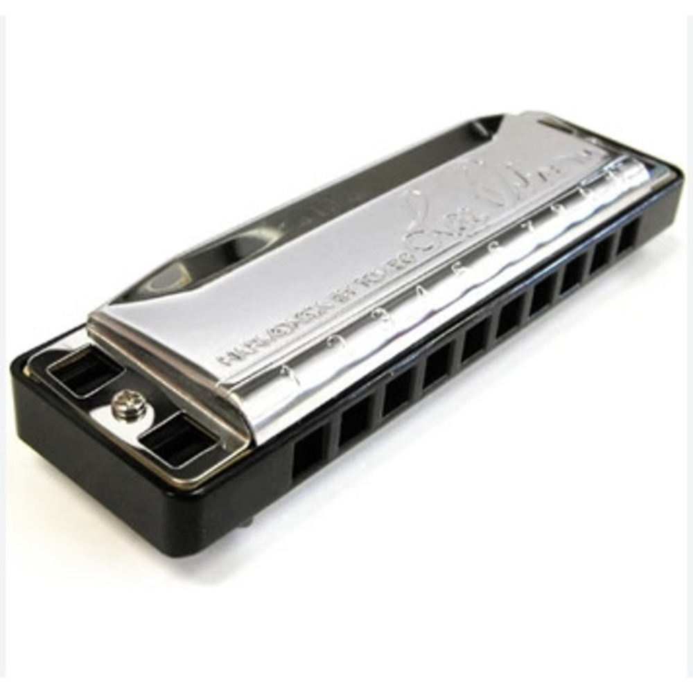 Губная гармошка Lee Oskar 1910N-Cm C-Natural Minor