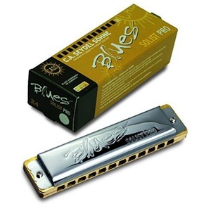 Губная гармошка Seydel Sohne 11601C Solist Pro 12 Steel C