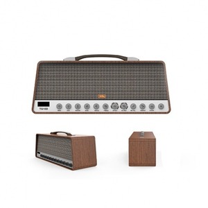 Гитарный комбо Soundking TG10D