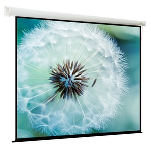 Экран для проектора ViewScreen Lotus 183*244 MW