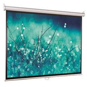Экран для проектора ViewScreen Lotus 128*171 MW