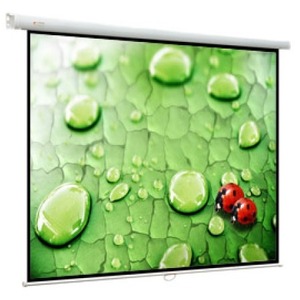 Экран для проектора ViewScreen Lotus 128*171 MW