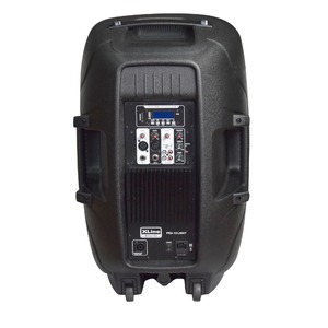 Активная акустическая система Xline PRA-15 LIGHT