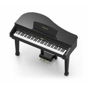 Пианино цифровое Ringway GDP1120 Black