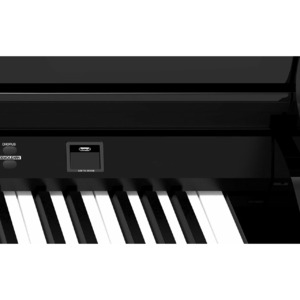 Пианино цифровое Ringway GDP1120 Black