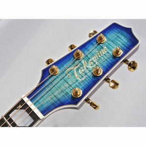 Электроакустическая гитара Takamine TSP178ACSBB