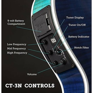 Электроакустическая гитара Takamine TSP178ACSBB