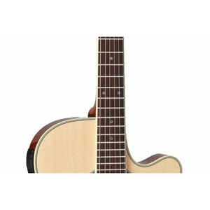 Электроакустическая гитара Takamine TSP138CN