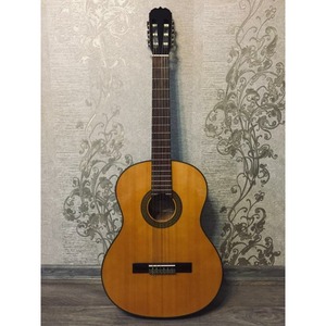 Классическая гитара Fina Guitars FC-603