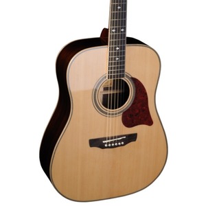 Акустическая гитара Fina Guitars FD-3150