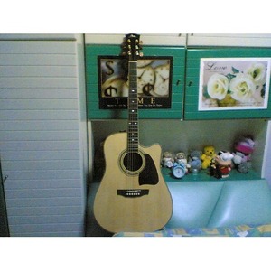 Акустическая гитара Fina Guitars FD-3150