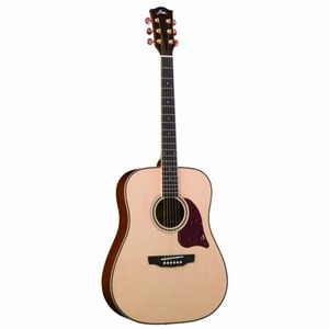 Акустическая гитара Fina Guitars FD-810