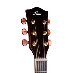 Акустическая гитара Fina Guitars FD-810