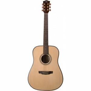 Акустическая гитара Fina Guitars FD-812