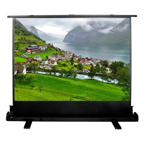 Экран для проектора Cactus FloorExpert CS-PSFLE-180X102