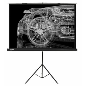 Экран для проектора Cactus Triscreen CS-PST-124x221