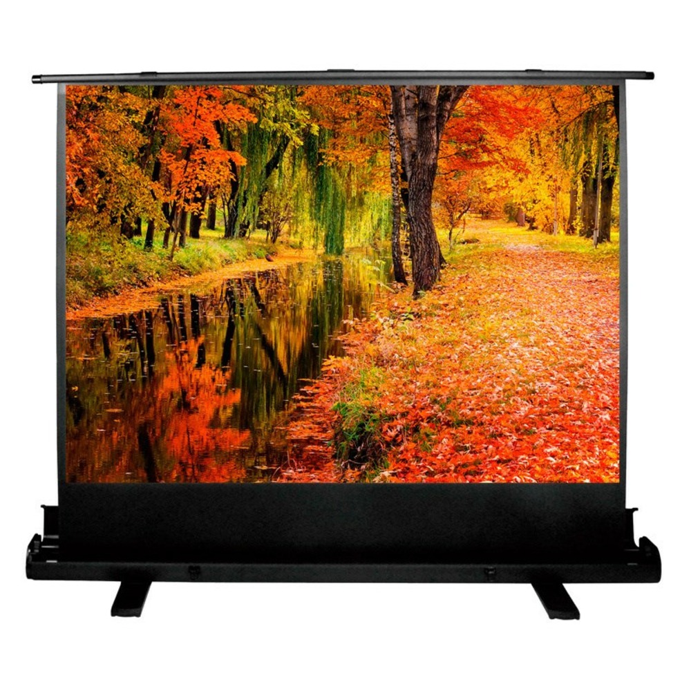 Экран для проектора Cactus FloorExpert CS-PSFLE-200X150