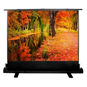 Экран для проектора Cactus FloorExpert CS-PSFLE-200X150