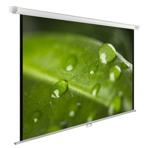 Экран для проектора Cactus WallExpert CS-PSWE-200x150-WT