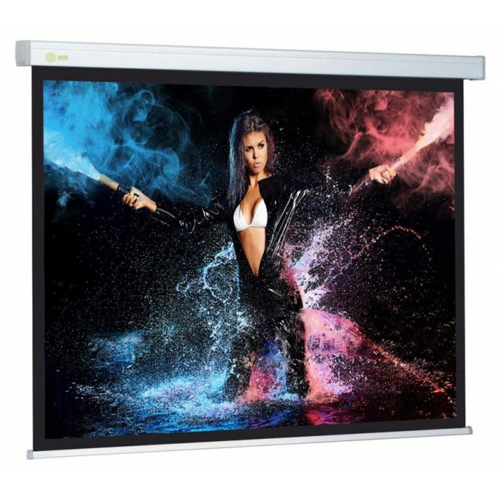 Экран для проектора Cactus Wallscreen CS-PSW-168x299